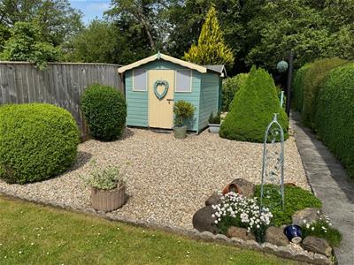 Picture 16